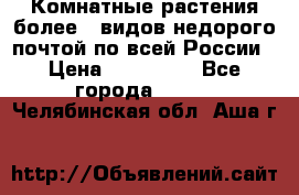 Комнатные растения более200видов недорого почтой по всей России › Цена ­ 100-500 - Все города  »    . Челябинская обл.,Аша г.